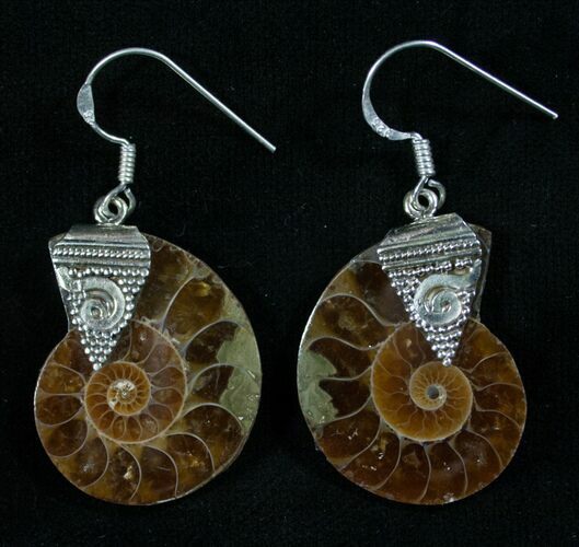 Stylish Ammonite Earrings - Sterling Silver #8073